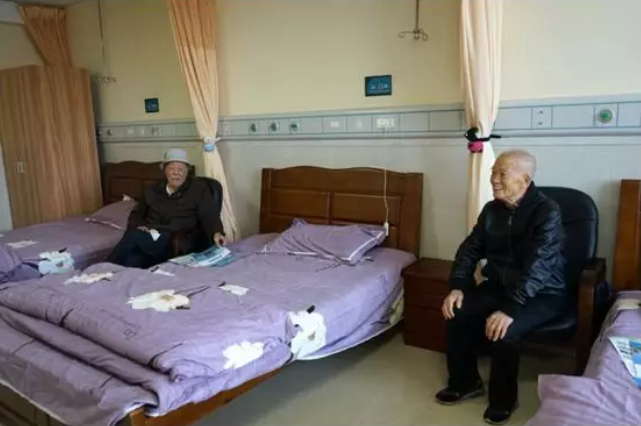 拼搏在线官网 - 首页